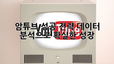 암튜브 성공 전략: 데이터 분석으로 확실한 성장!